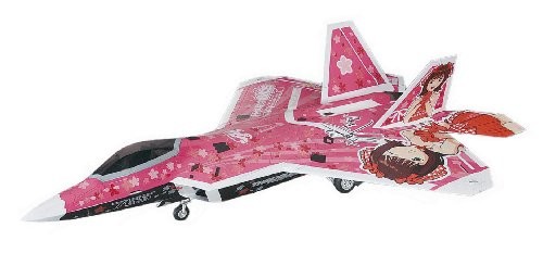 Hasegawa raptor idol - hasegawa, f-22